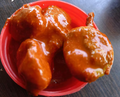 Jeerige Midi (Mango) Pickle
